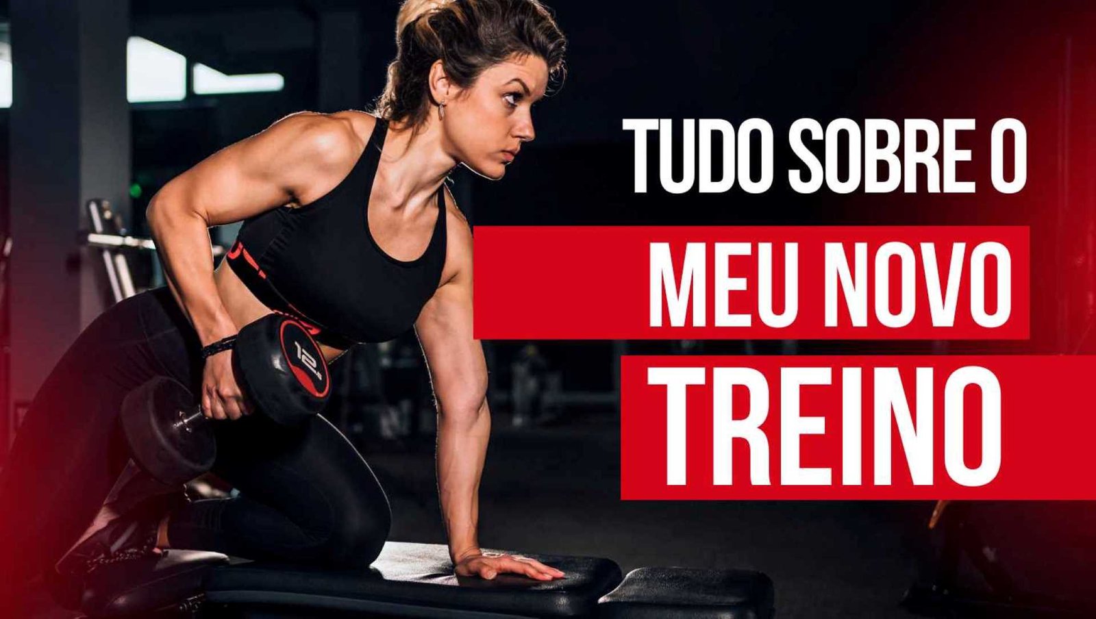 rotina de exercícios
como não desistir da academia
motivação para treinar
exercícios físicos para iniciantes